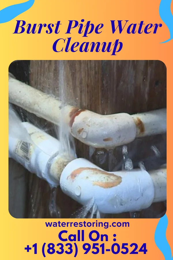 Burst Pipe Water Cleanup in Dibble, OK