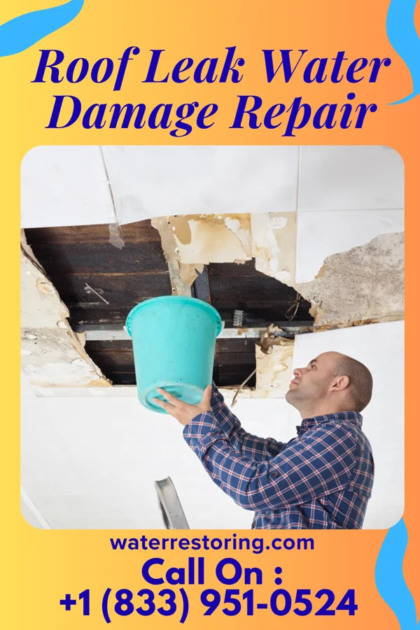 Roof Leak Water Damage Repair in Dibble, OK