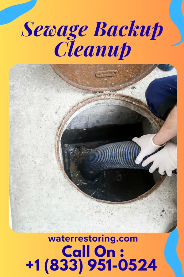 Sewage Backup Cleanup in Dibble, OK