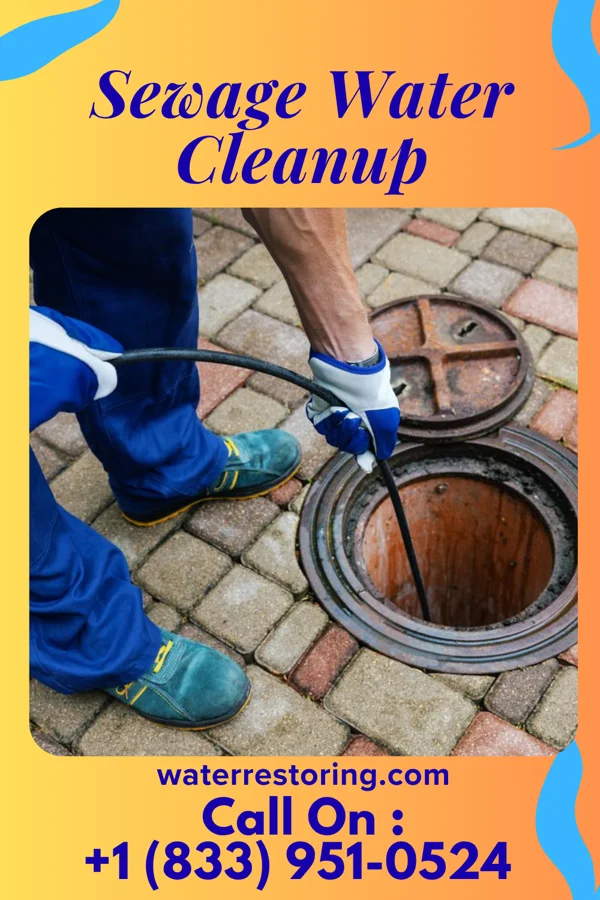 Sewage Water Cleanup in Dibble, OK