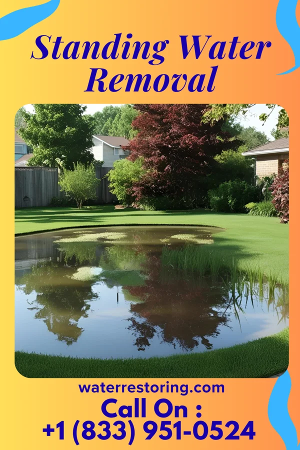 Standing Water Removal in Dibble, OK